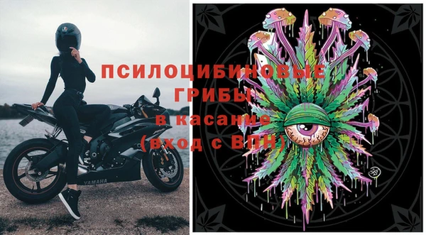 PSILOCYBIN Нефтекумск