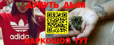 индика Волгодонск