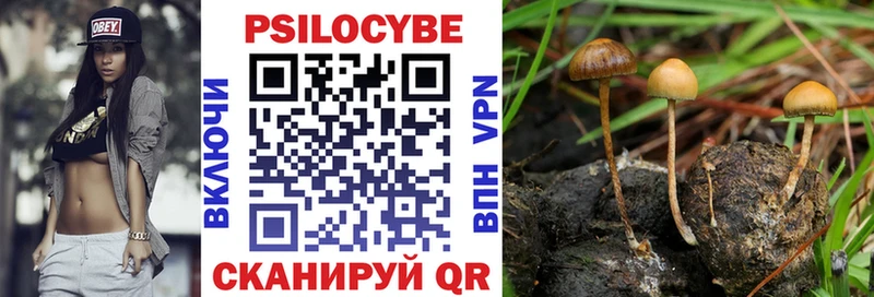 Псилоцибиновые грибы GOLDEN TEACHER  купить закладку  Томск 