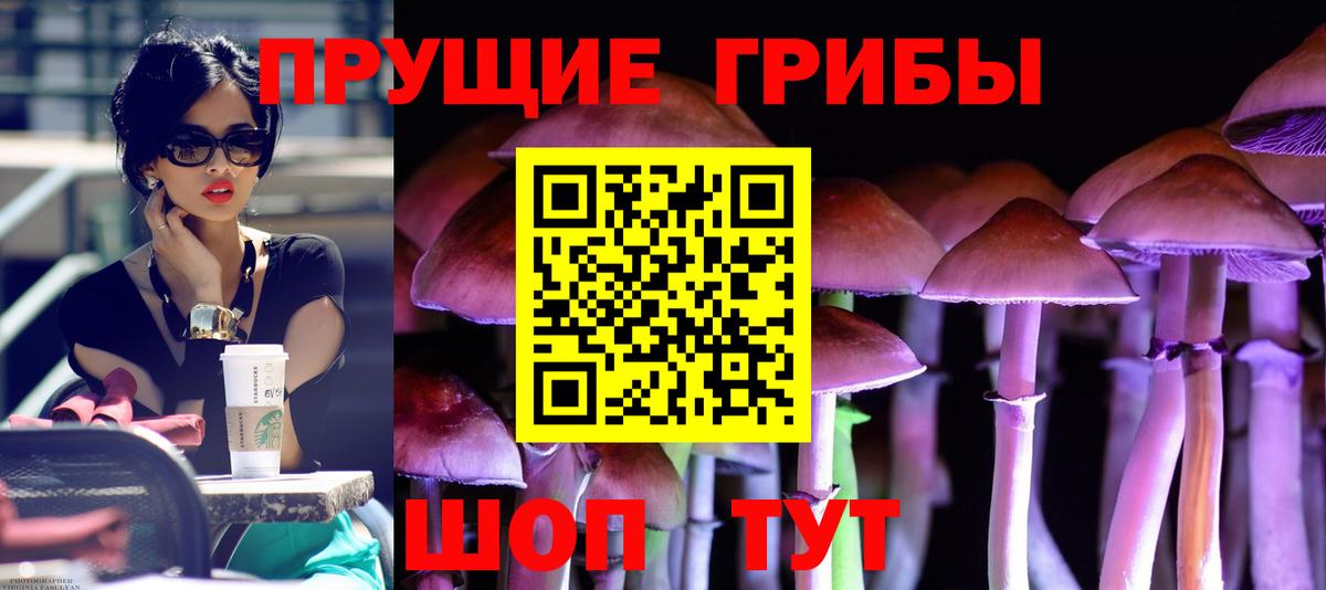 Галлюциногенные грибы Psilocybine cubensis  даркнет сайт  Томск  Вход с VPN 