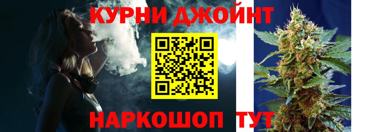Каннабис сатива Томск