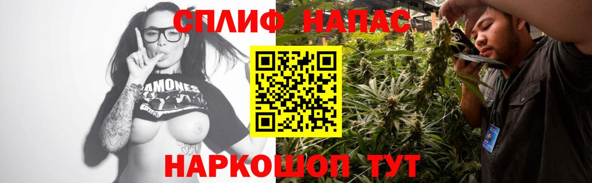 Cocaine Томск